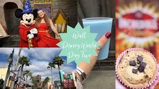 WALT DISNEY WORLD SOLO TRIP - DAY TWO DAPPER DAY, HOLLYWOOD STUDIOS & EPCOT NOVEMBER 2019 ✨
