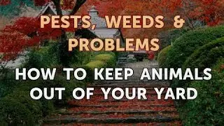 How to Keep Animals Out of Your Yard