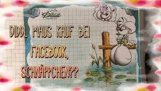 Facebook Kauf Diddl Ordner und mehr Danke Lisa