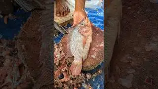 Delicious!! Talapia Fish Cutting live in Bangladesh Local Fish Market 🤭😱 || #shorts #cuttingskills