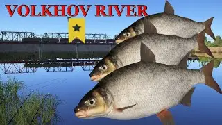 Russian Fishing 4 RF4 Volkhov River Spot Vimba + Trophy
