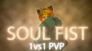 Lost Ark - Soul-fist PVP 1x1 (China)