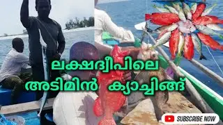 ലക്ഷദ്വീപിലെ അടിമീൻ ക്യാച്ചിങ്ങ് ഒന്ന് കണ്ടാലോ | Lakshadweep Deep Fishing | AHPC CREATION