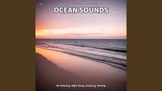 Ocean Sounds, Pt. 58