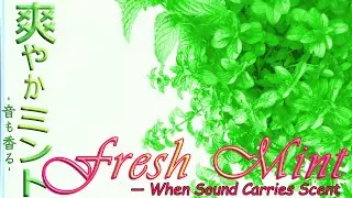 爽やかミント ~『音も香る』 //   Fresh Mint   ~  &ldquo;When Sound Carries Scent&rdquo;