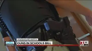 Guns in Schools Bill