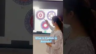 Coelomates || Acoelomates || Pseudocoelomates #kcbiozone #soniakaushikbiology #neetbiolgy #ncert