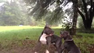 Little bit of rope play