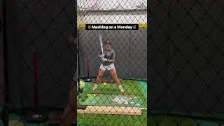 Smooth Stroke🤘 #softball #hitting #hittinglessons