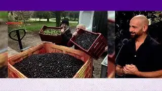 RMC 08/01/2026