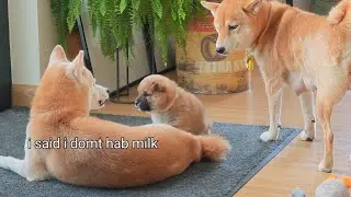 *Вы были предупреждены*