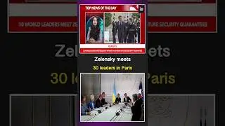 World Leaders Meet Zelensky in Paris | NEWS ON FACE ENGLISH