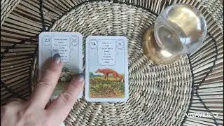 🌈PETIT LENORMAND ASSOCIATION FORMATION 🌈 23.LES SOURIS#petitlenormand #formation#cartomancie#oracle