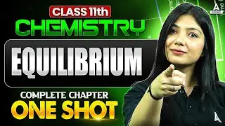 Equilibrium in One Shot | Class 11th Chemistry Chapter 6