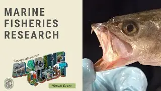 MarineQuest 2020: Marine Fisheries Research