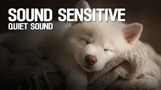 Sound Sensitive Dogs | Quiet Background Sound