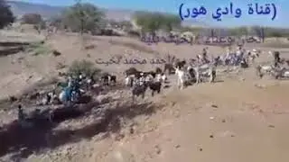 بخيت بلية