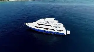 Maldives Surf Trip May 2018 Scott Arderne
