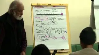 20111104 jesus in the gospel of mark