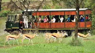 Top10 Recommended Hotels in Pretoria, Gauteng, South Africa
