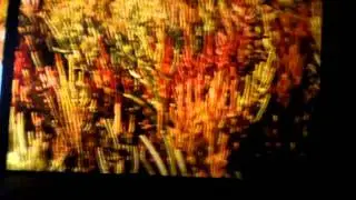 THE LAND.MOV