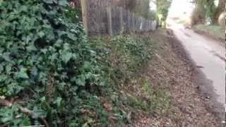 Rabbit Proof Fencing Berkshire