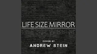 Life Size Mirror