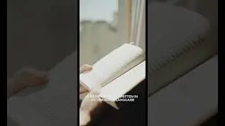 The World&rsquo;s Most Peculiar Books &ndash; Mysterious & Bizarre Books You Won&rsquo;t Believe Exist! #trending