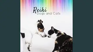 Dog Soothing Sleep Music