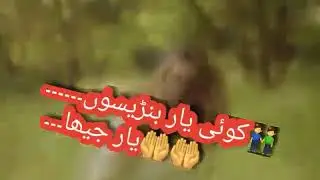 O bss kr gaye ty koi gal nhi