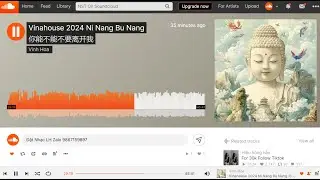 NST BAY PH&Ograve;NG STYLE TH&Aacute;I HO&Agrave;NG | NHẠC HOT SOUNDCLOUD 2024