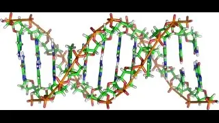 FAMILY OF LIGHT - DNA ENCODING