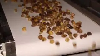 Sundried figs processing line