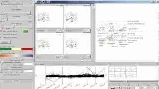 Cerebral: Visualizing Multiple Experimental Conditions on a Graph with Biological Context