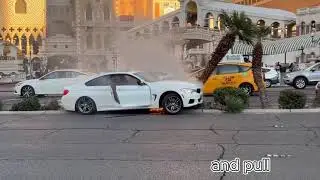 Terrifying Rescue: Unconscious Driver Crashes into Tree, Car Engulfed in Flame, Rush to Scene! Short