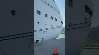 😱😱😱😱😱!!#shorts #subscribe #cruise #royalcarribean #port #puertoplata #dominicanrepublic