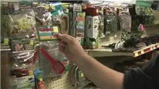 Hermit Crab Care : How to Buy Hermit Crab Supplies