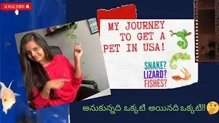 My Pets in USA || Pet lovers || Petsmart || Telugu Vlogs