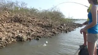 CATCH CRAPPIE IN 12 INCHES OF WATER!