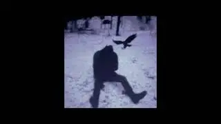 TOXIK - N!GHTvisiøn (slowed version )