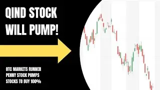 QIND STOCK I BOUGHT THE DIP!! BIG ALERT!