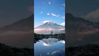 Summer in Mt Rainier is a dream 🥹