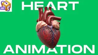 Epic 3D Human Heart Animation on Green Screen!