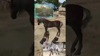 How Italians ride an horse. MAMMA MIA! - #shorts #RedDeadRedemption #Meme #Funny #CSGO #gaming