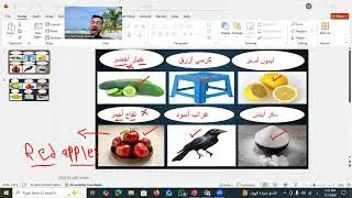 الألوان Colors 