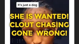 SHE IS WANTED! CLOUT CHASING GONE WRONG!
