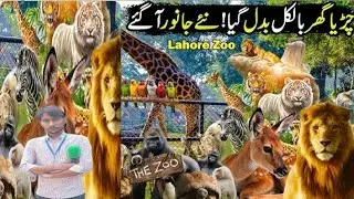 Inside Lahore Zoo | The Beauty of Nature & Wildlife | Full Documentary | M1 NEWS HD