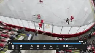 Rain drop pass to abby for a goal. NHL 16