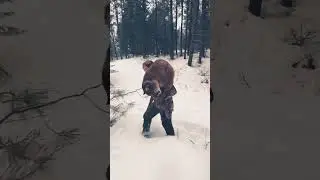 Packing out a MASSIVE Washington mountain lion🐱🌲 #hunting