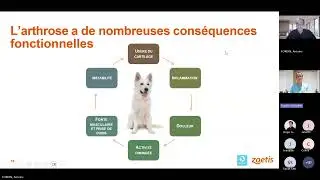 Arthrose canine : comment savoir si mon chien souffre ? | Signes, solutions et conseils v&eacute;t&eacute;rinaires